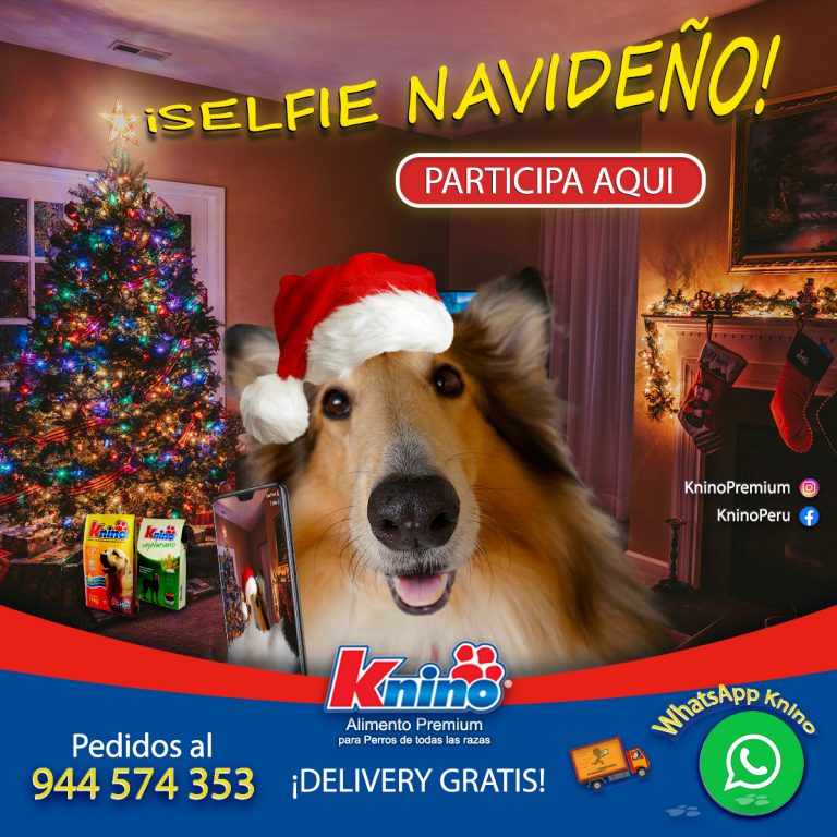 Lee más sobre el artículo Knino Selfie Navideño 2020