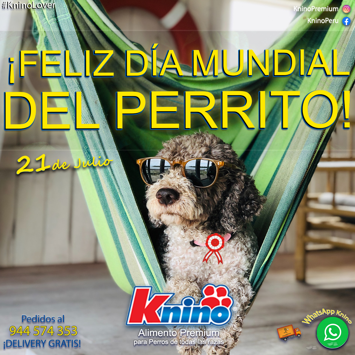 En este momento estás viendo TÉRMINOS Y CONDICIONES DEL CONCURSO Y EL SORTEO #DIADELKNINO