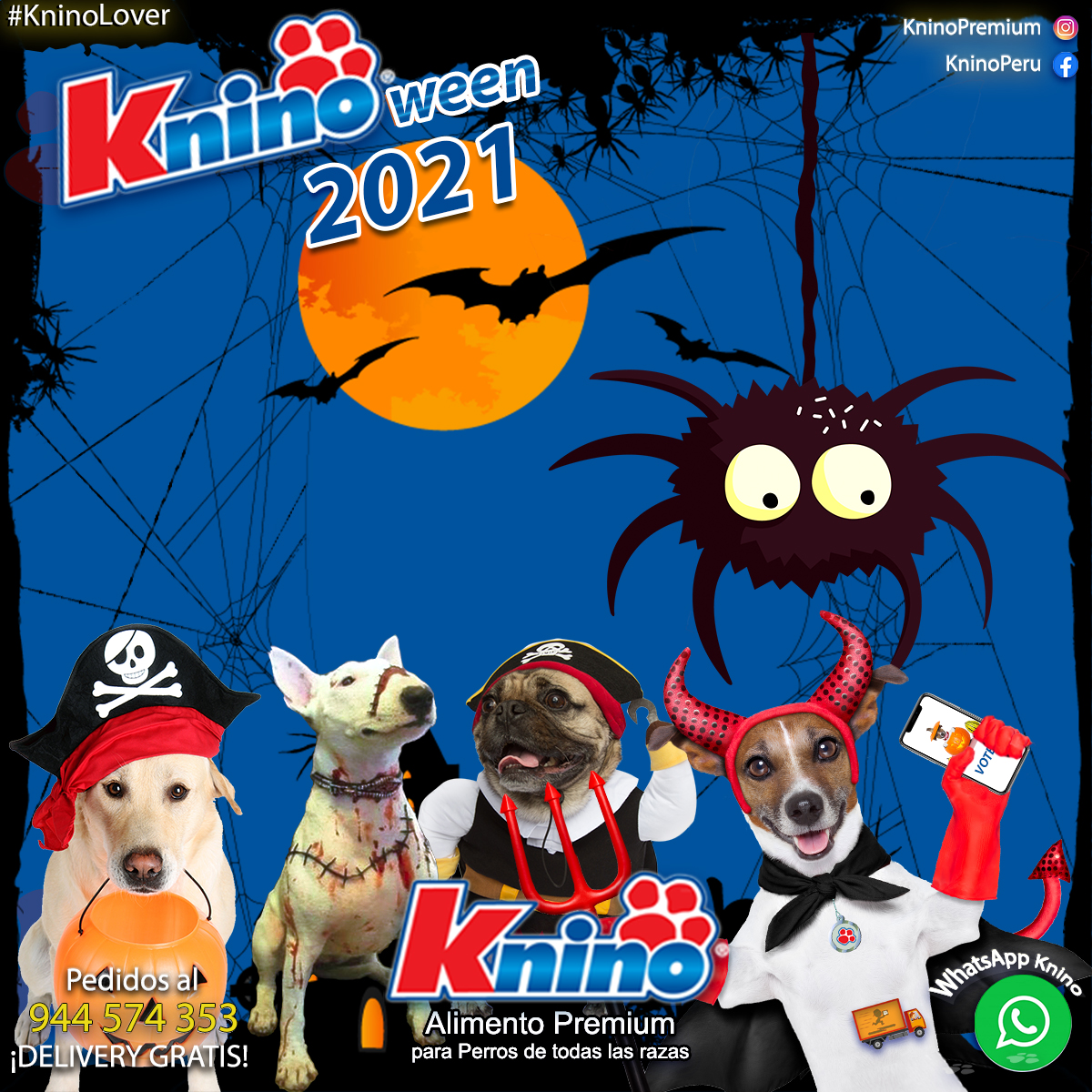 En este momento estás viendo TÉRMINOS Y CONDICIONES DEL CONCURSO Y EL SORTEO #KNINOWEEN