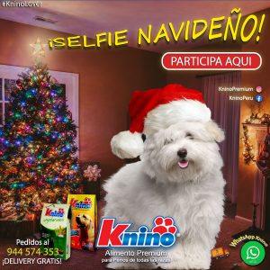 Lee más sobre el artículo TÉRMINOS Y CONDICIONES DEL CONCURSO Y EL SORTEO #KNINOSELFIENAVIDEÑO 2021