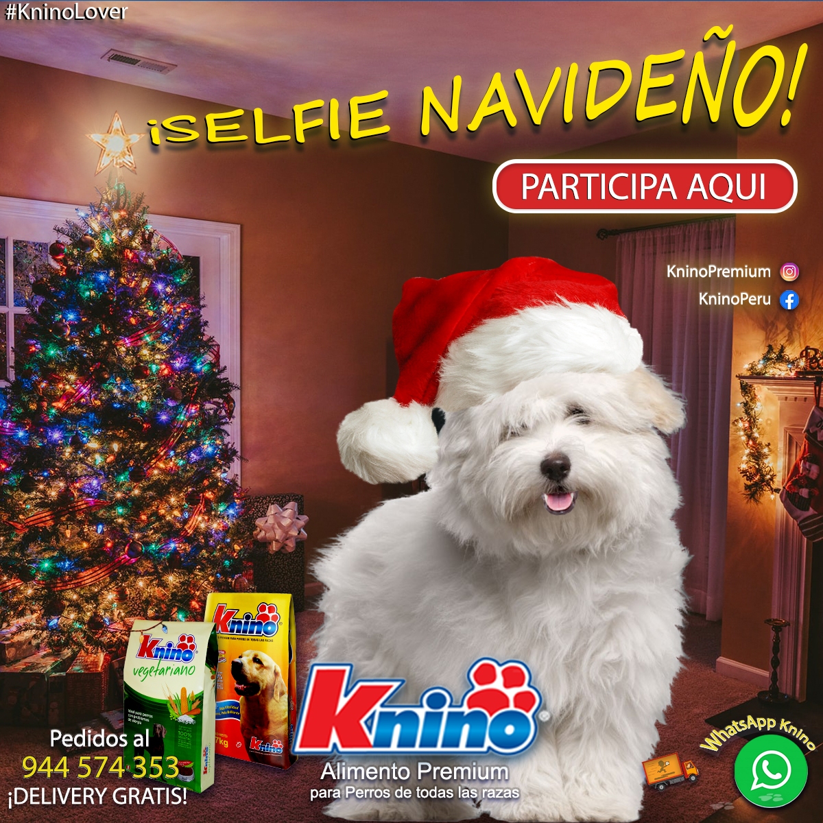 En este momento estás viendo TÉRMINOS Y CONDICIONES DEL CONCURSO Y EL SORTEO #KNINOSELFIENAVIDEÑO 2021